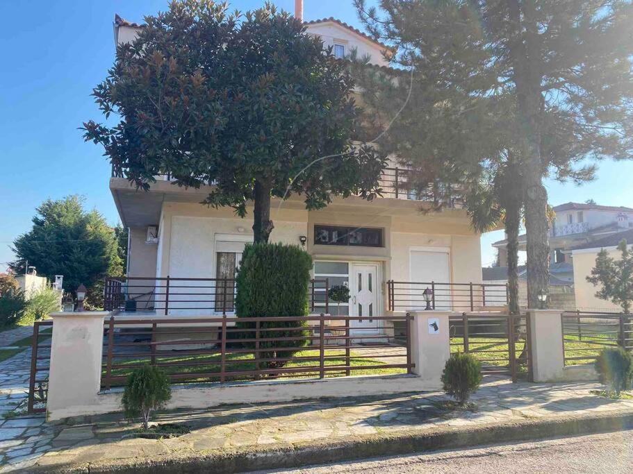 Family'S Home Trikala 外观 照片